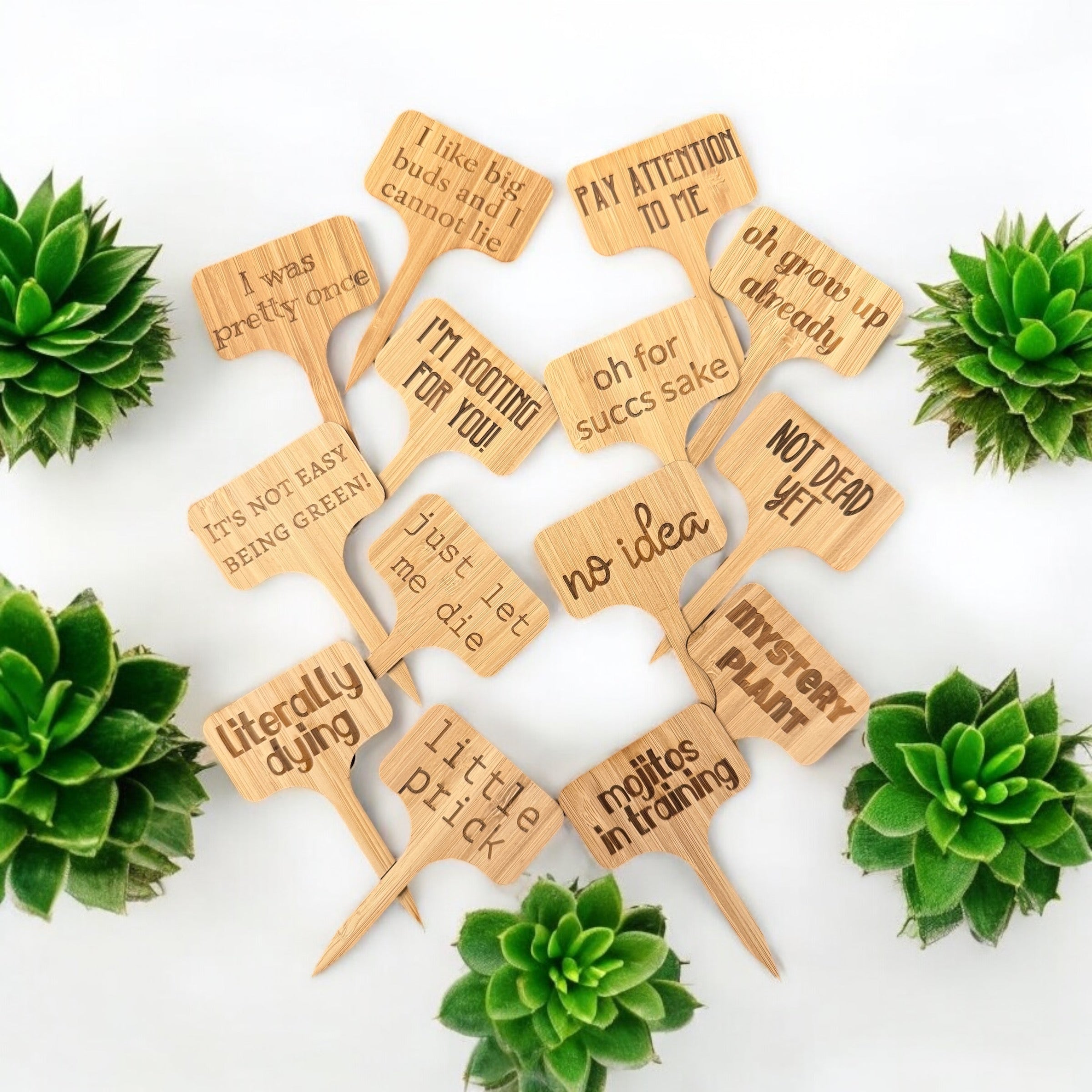 Plant Stakes