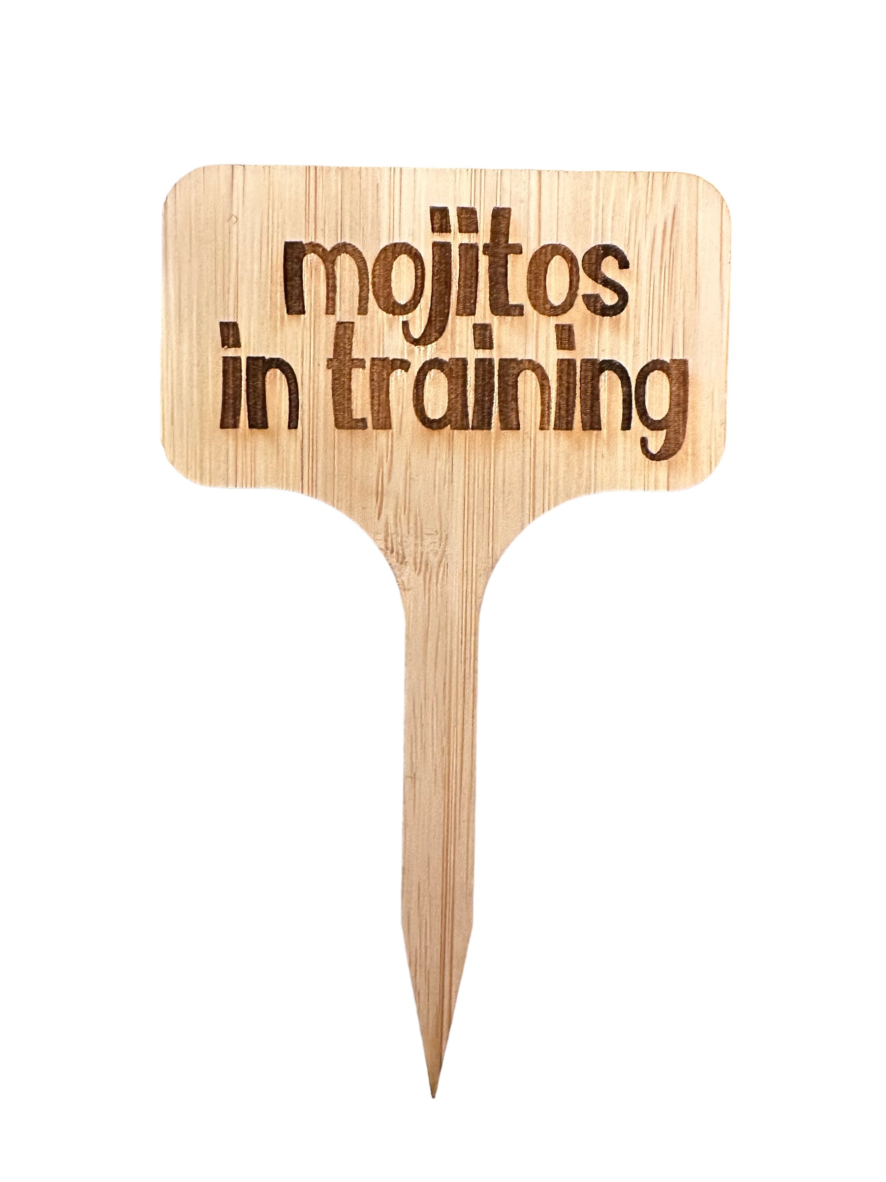 Mojitos in training
