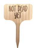 Not dead yet