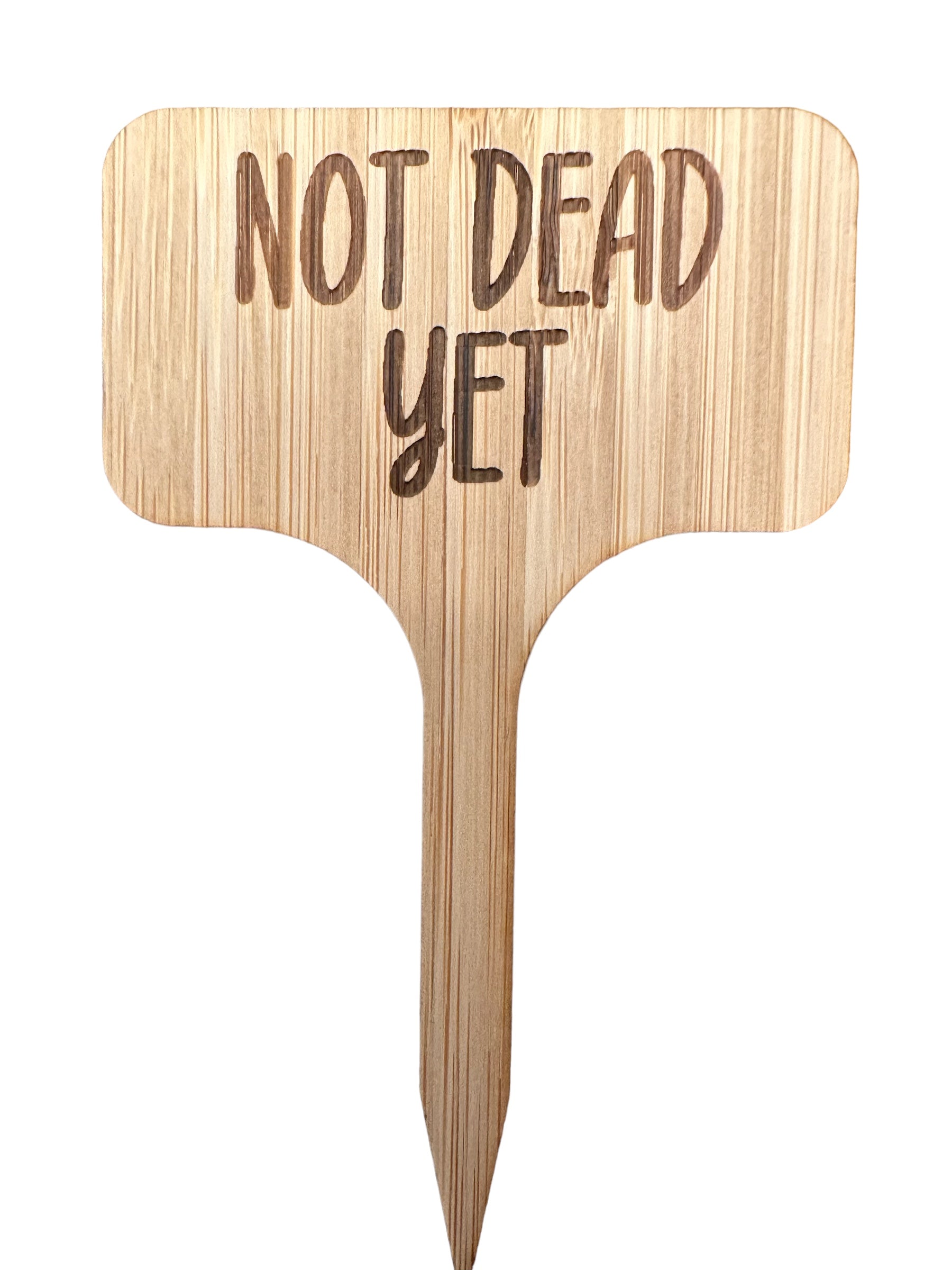 Not dead yet