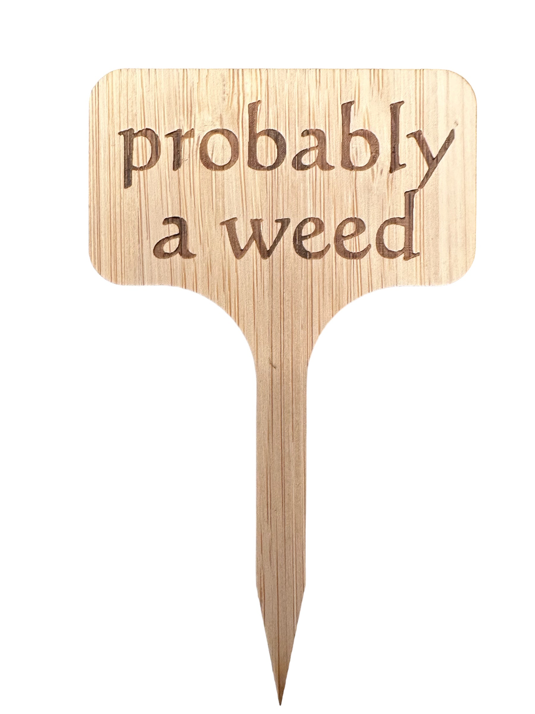 Probably a weed