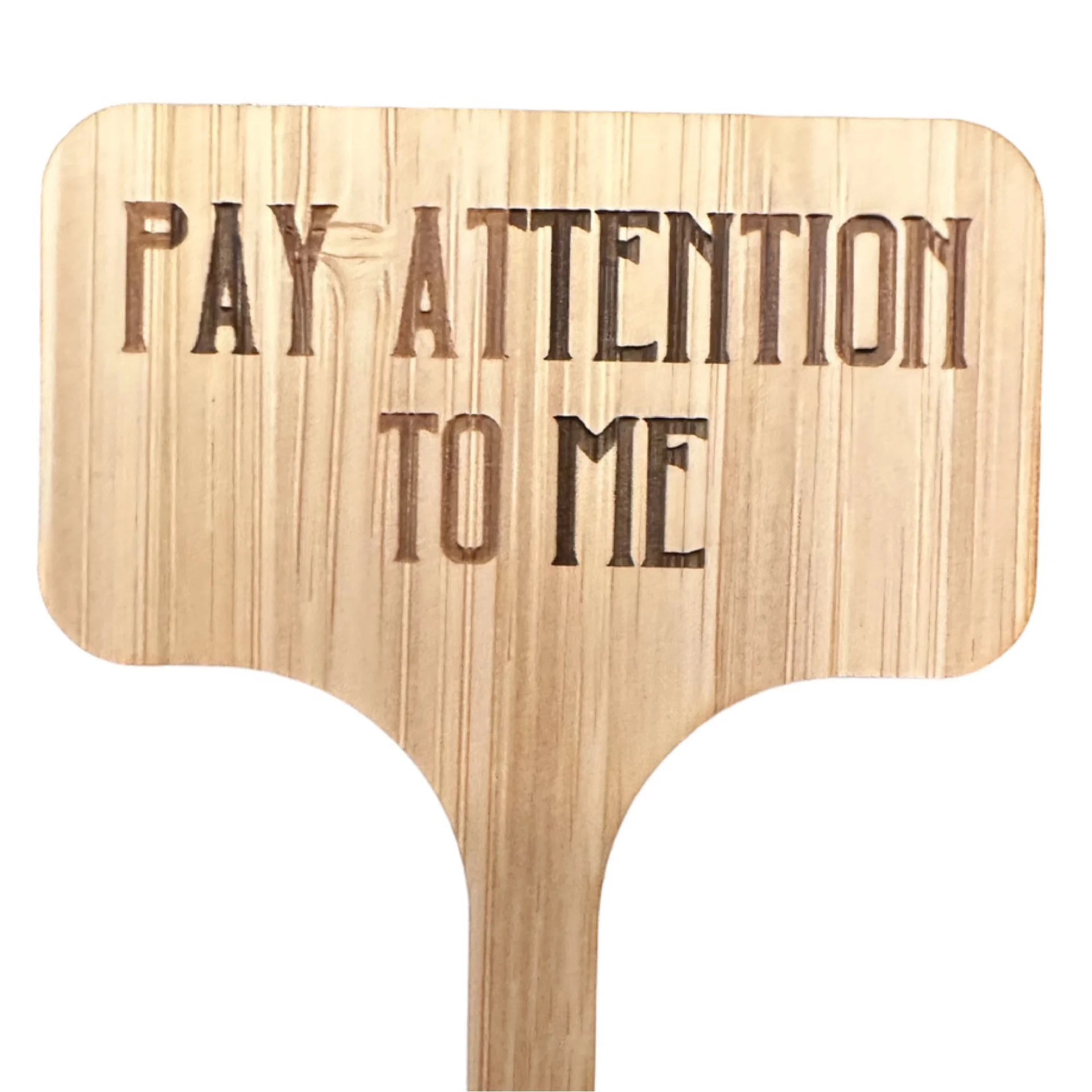 Pay attention to me