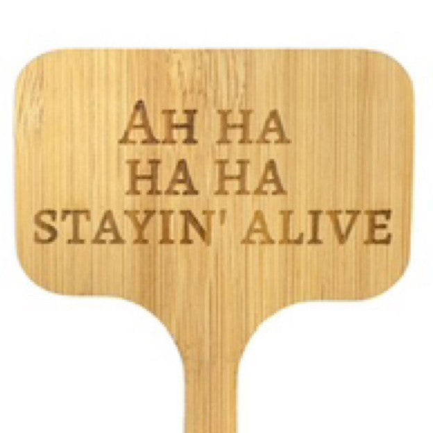 Ah ha ha ha stayin’ alive