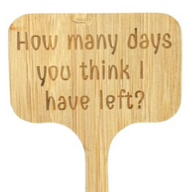 How many days you think I have left